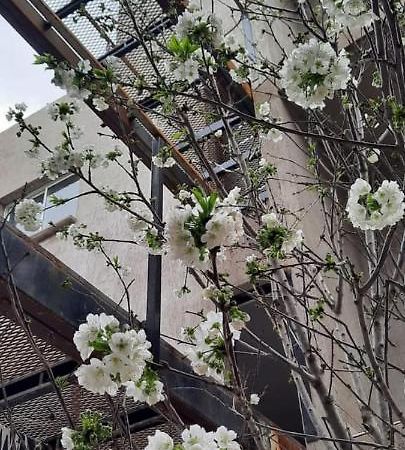 Appartamento El Cerezo Mendoza Esterno foto