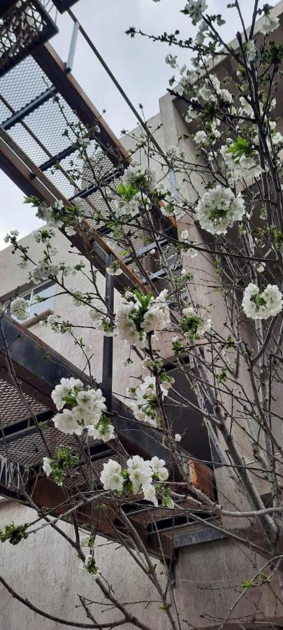 Appartamento El Cerezo Mendoza Esterno foto